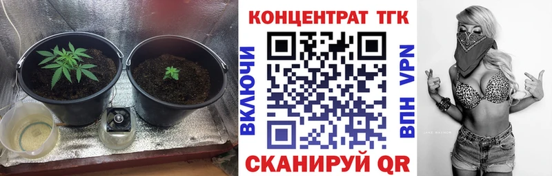 ТГК Wax  Дмитриев 