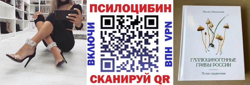 маркетплейс клад Дмитриев Галлюциногенные грибы Magic Shrooms