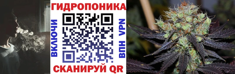 Бошки Шишки SATIVA & INDICA  Дмитриев 